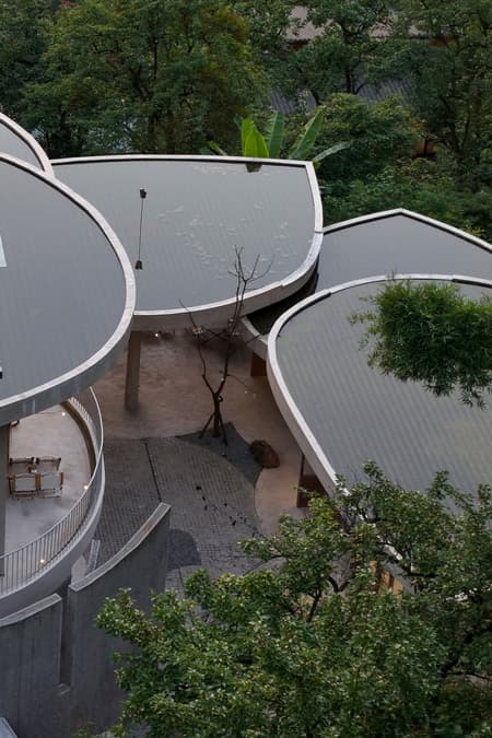 Buzzy Sunny· Feixue Pavilion